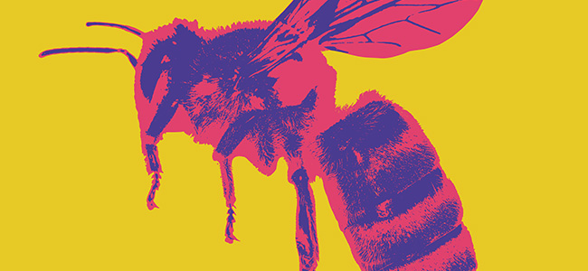 Das Foto zeigt eine farblich stilisierte Biene