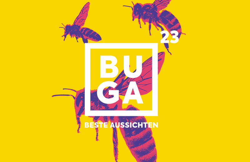 Violette Bienen auf gelber Kachel. "BUGA 23" claim im Vordergrund