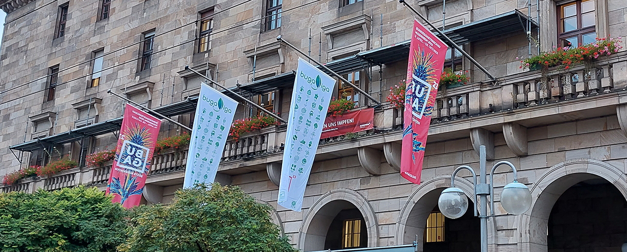 4 Flaggen der BUGA 23 hängen vom Mannheimer Rathaus