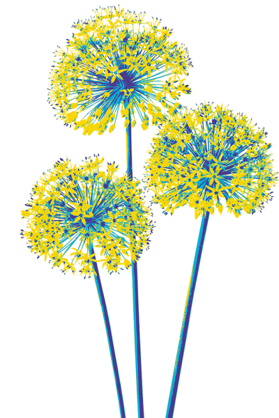 farblich stilisierte Lauchblumen