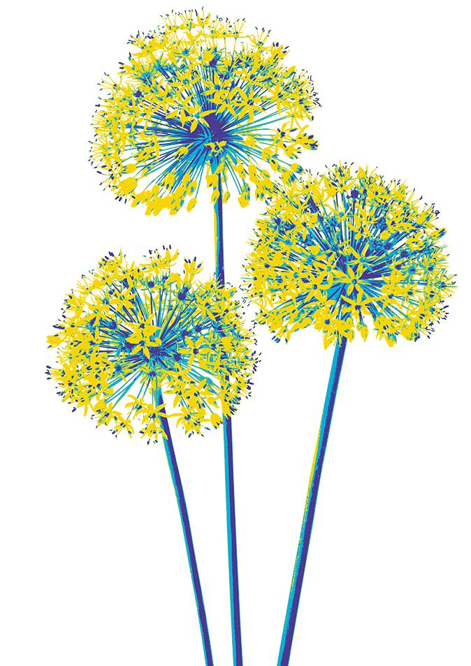 farblich stilisierte Lauchblumen