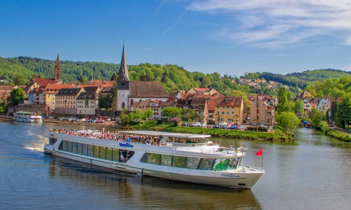 Ein Flusskreuzfahrtschiff das an einem Ufer in Neckargemünd vorbiefährt
