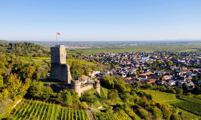 Einer Luftaufnahme der Waachtenburg umgeben von Weinreben