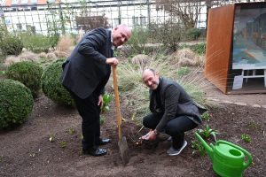 Oberbürgermeister Adolf Kessel und BUGA 23-Geschäftsführer Michael Schnellbach pflanzen gemeinsam eine Red Eden Rose vor dem Wormser Rathaus.