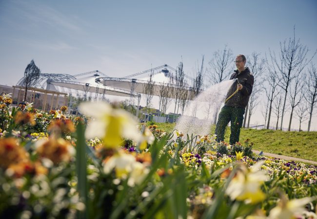 Gärtner beim Blumengießen Spinelli-Park © BUGA 23_Lukac + Diehl