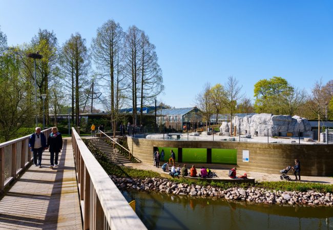 Eine Holzbrücke führt über einen Fluss zum neuen Pinguingehege des Luisenparks