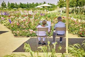 Ein Ehepaar sitzt auf Stühlen vor einem Rosenbeet und studiert den Parkplan