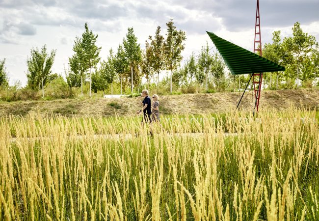 Getreide und Zukunftsbäume im Spinelli-Park © BUGA 23_Lukac + Diehl