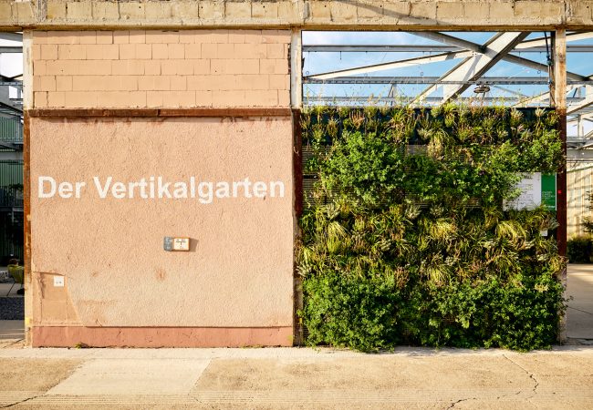 230824_Vertikalgarten U-Halle © BUGA 23_Lukac + Diehl